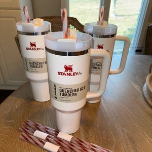 Mistletoe Stanley 40oz